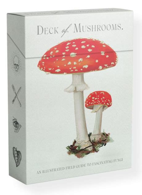 The magic of mushroomsb book